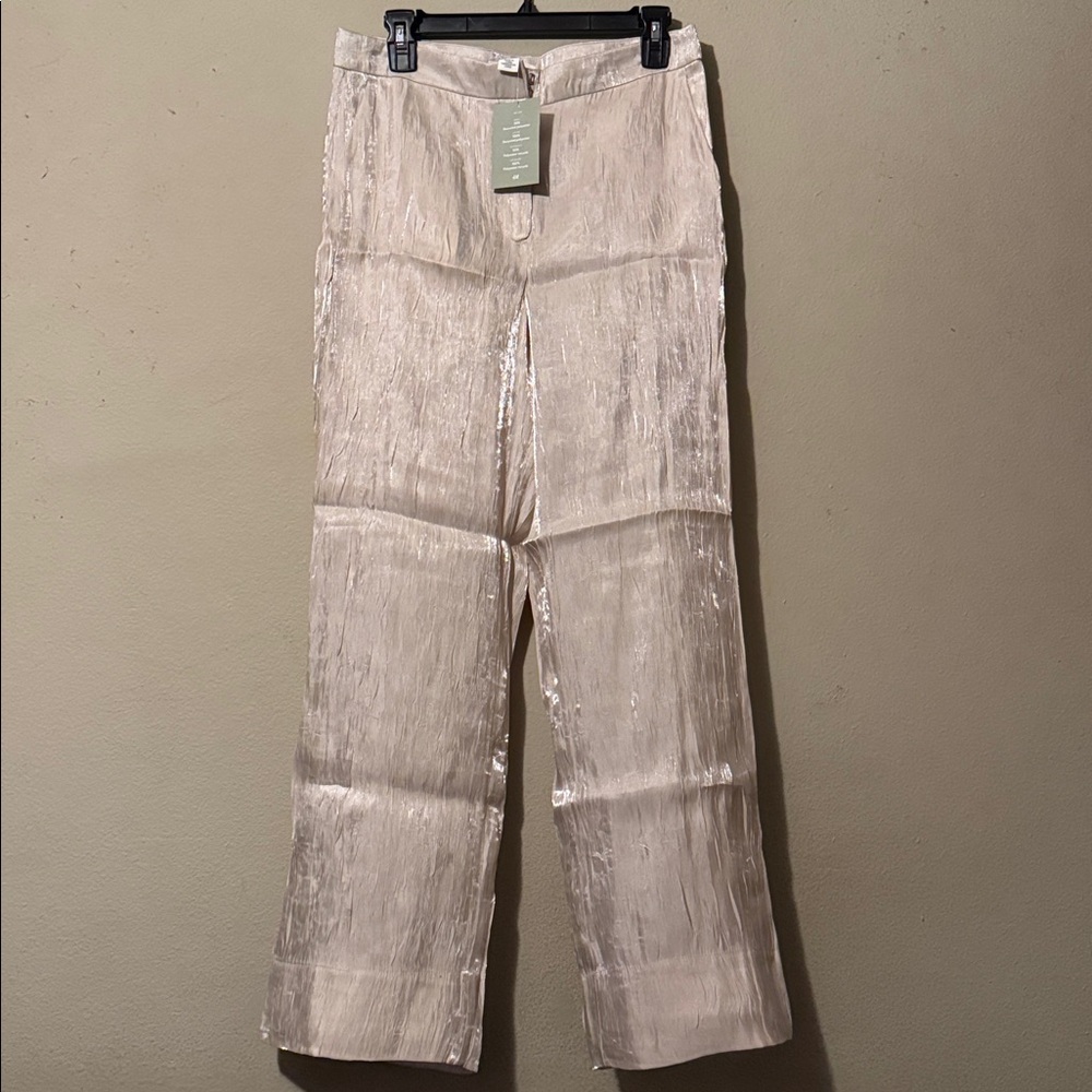 H&M Sheer Pants NWT - Picture 3 of 7